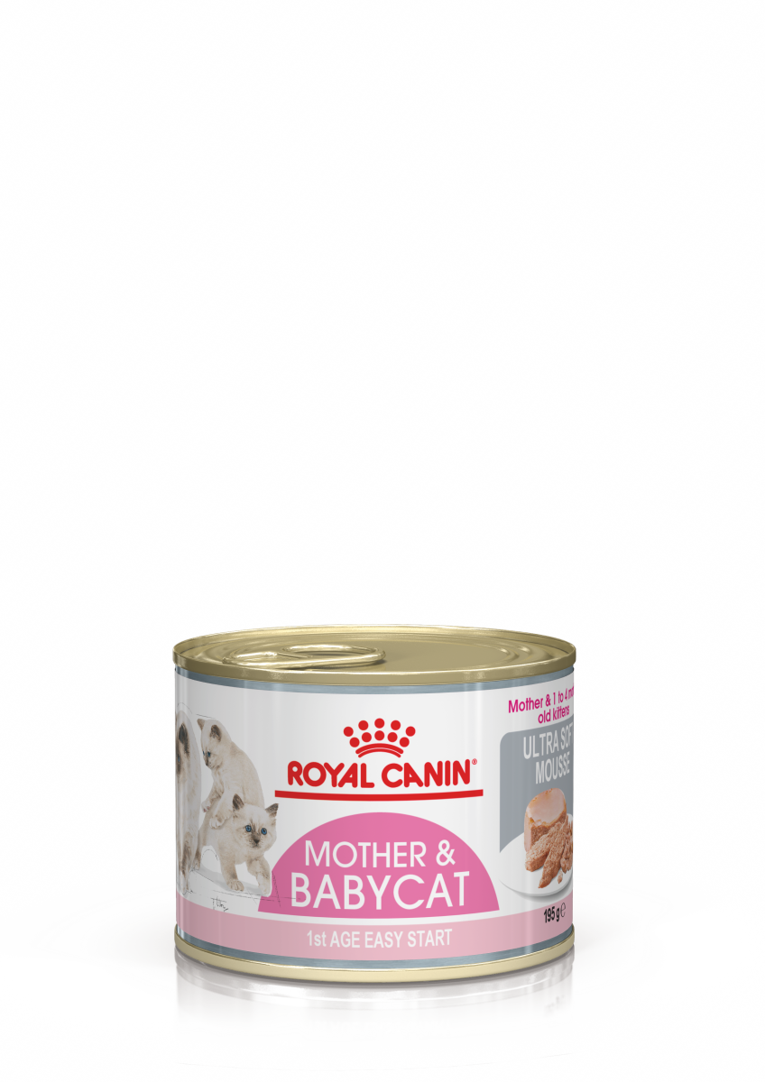 Alimento umido gatto Royal Canin, Mother & Babycat, mousse, 195gr [1196]