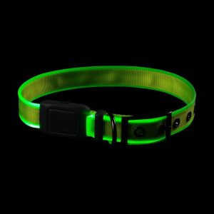 Nite-Ize Collare luminoso ricaricabile – tg. M – VERDE-LIME